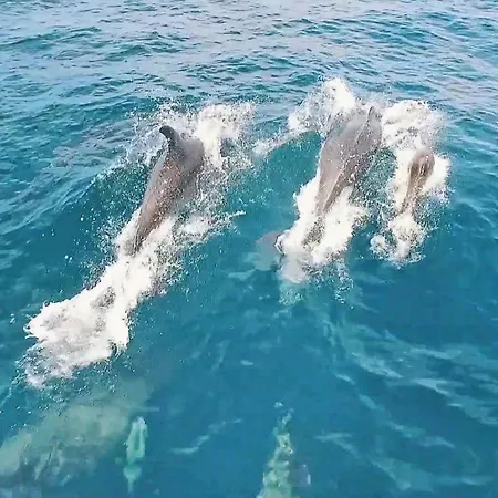 Bogota By Algarve Vacation 빌라 *