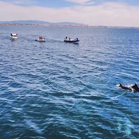 Villa Bogota By Algarve Vacation